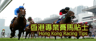 香港賽馬貼士