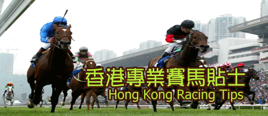 香港專業賽馬貼士
